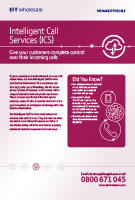 Explore our Intelligent Call Services