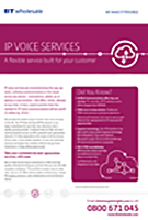 Flexible IP Voice Services